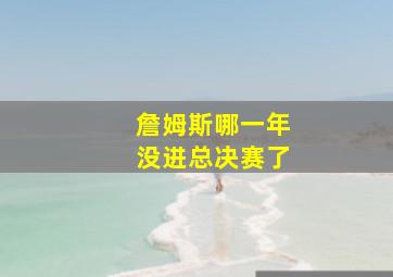 詹姆斯哪一年没进总决赛了