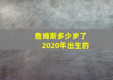 詹姆斯多少岁了2020年出生的