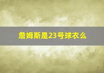 詹姆斯是23号球衣么