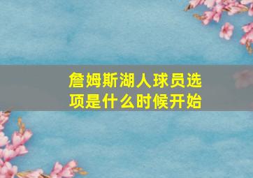 詹姆斯湖人球员选项是什么时候开始