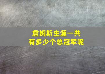 詹姆斯生涯一共有多少个总冠军呢