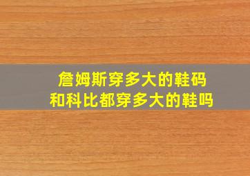 詹姆斯穿多大的鞋码和科比都穿多大的鞋吗