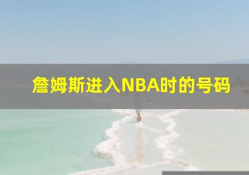 詹姆斯进入NBA时的号码