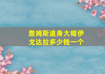 詹姆斯追身大帽伊戈达拉多少钱一个