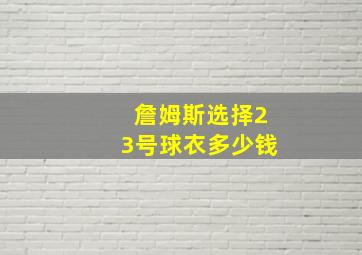 詹姆斯选择23号球衣多少钱