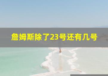 詹姆斯除了23号还有几号