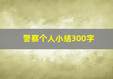 警察个人小结300字