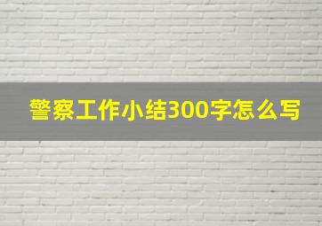 警察工作小结300字怎么写