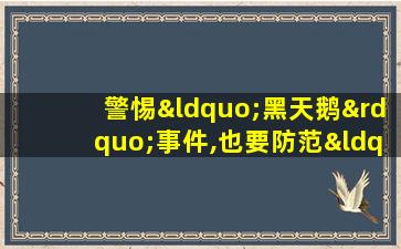 警惕“黑天鹅”事件,也要防范“灰犀牛”事件