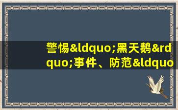 警惕“黑天鹅”事件、防范“灰犀牛”事件