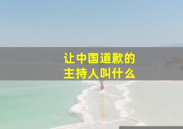 让中国道歉的主持人叫什么