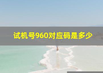 试机号960对应码是多少