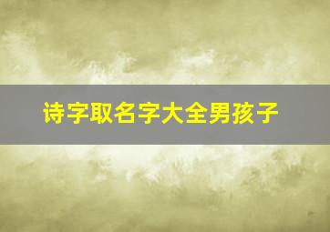 诗字取名字大全男孩子