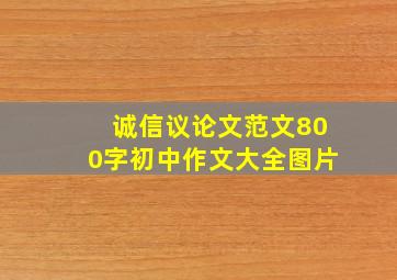 诚信议论文范文800字初中作文大全图片