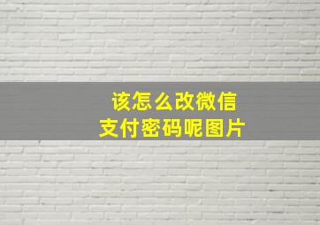 该怎么改微信支付密码呢图片