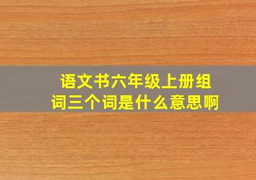 语文书六年级上册组词三个词是什么意思啊