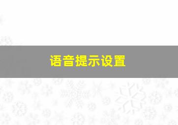 语音提示设置