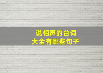 说相声的台词大全有哪些句子