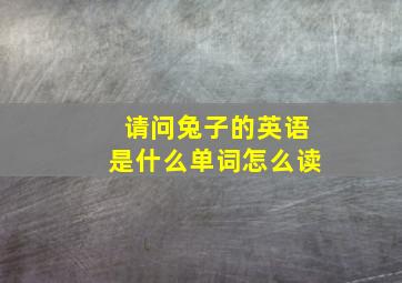 请问兔子的英语是什么单词怎么读