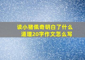 读小猪佩奇明白了什么道理20字作文怎么写