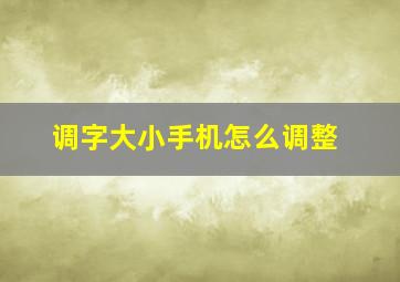 调字大小手机怎么调整