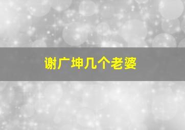 谢广坤几个老婆