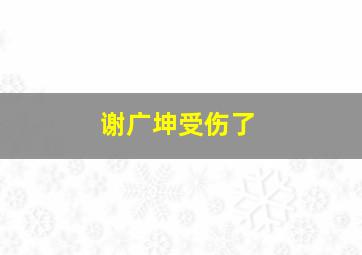 谢广坤受伤了