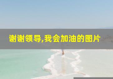 谢谢领导,我会加油的图片