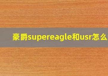 豪爵supereagle和usr怎么选