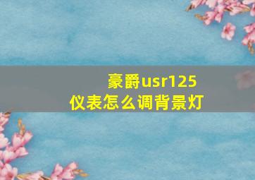 豪爵usr125仪表怎么调背景灯