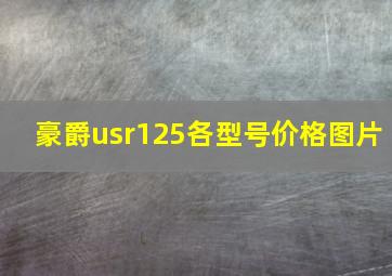 豪爵usr125各型号价格图片