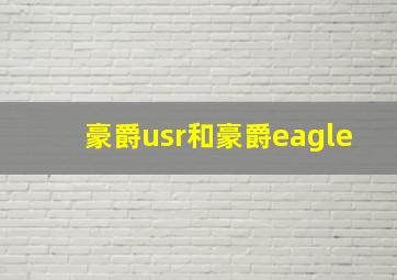 豪爵usr和豪爵eagle