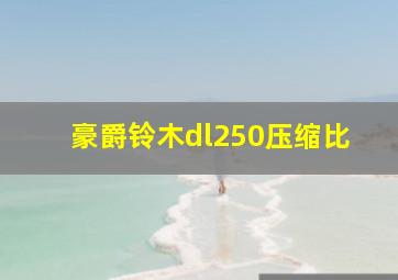 豪爵铃木dl250压缩比