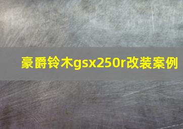 豪爵铃木gsx250r改装案例