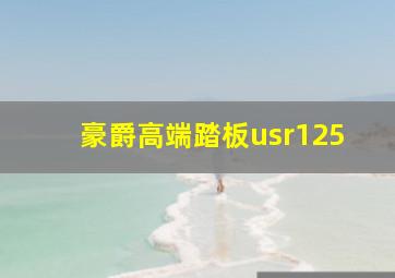 豪爵高端踏板usr125