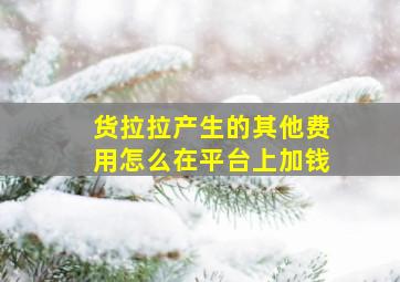 货拉拉产生的其他费用怎么在平台上加钱