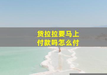 货拉拉要马上付款吗怎么付