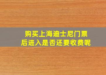 购买上海迪士尼门票后进入是否还要收费呢