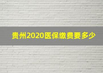 贵州2020医保缴费要多少