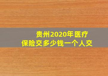 贵州2020年医疗保险交多少钱一个人交