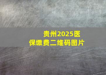 贵州2025医保缴费二维码图片