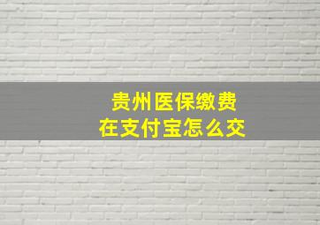 贵州医保缴费在支付宝怎么交