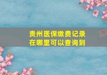 贵州医保缴费记录在哪里可以查询到