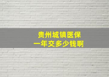 贵州城镇医保一年交多少钱啊