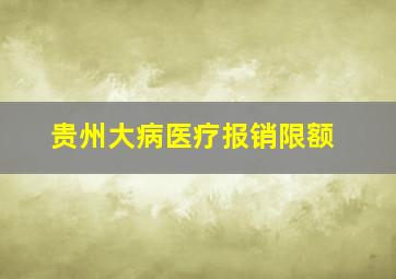 贵州大病医疗报销限额