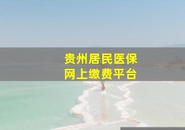 贵州居民医保网上缴费平台