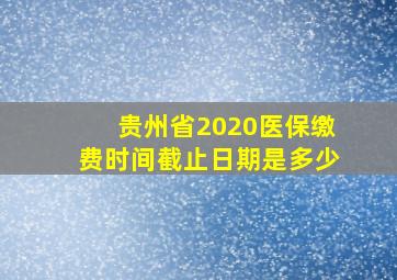 贵州省2020医保缴费时间截止日期是多少