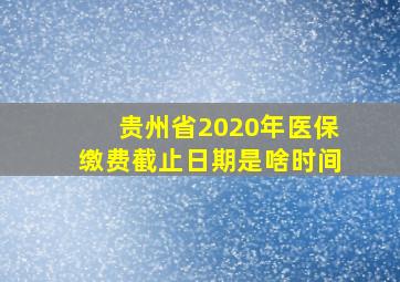 贵州省2020年医保缴费截止日期是啥时间