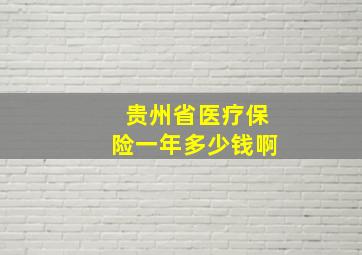 贵州省医疗保险一年多少钱啊