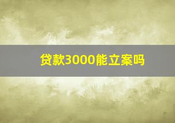 贷款3000能立案吗